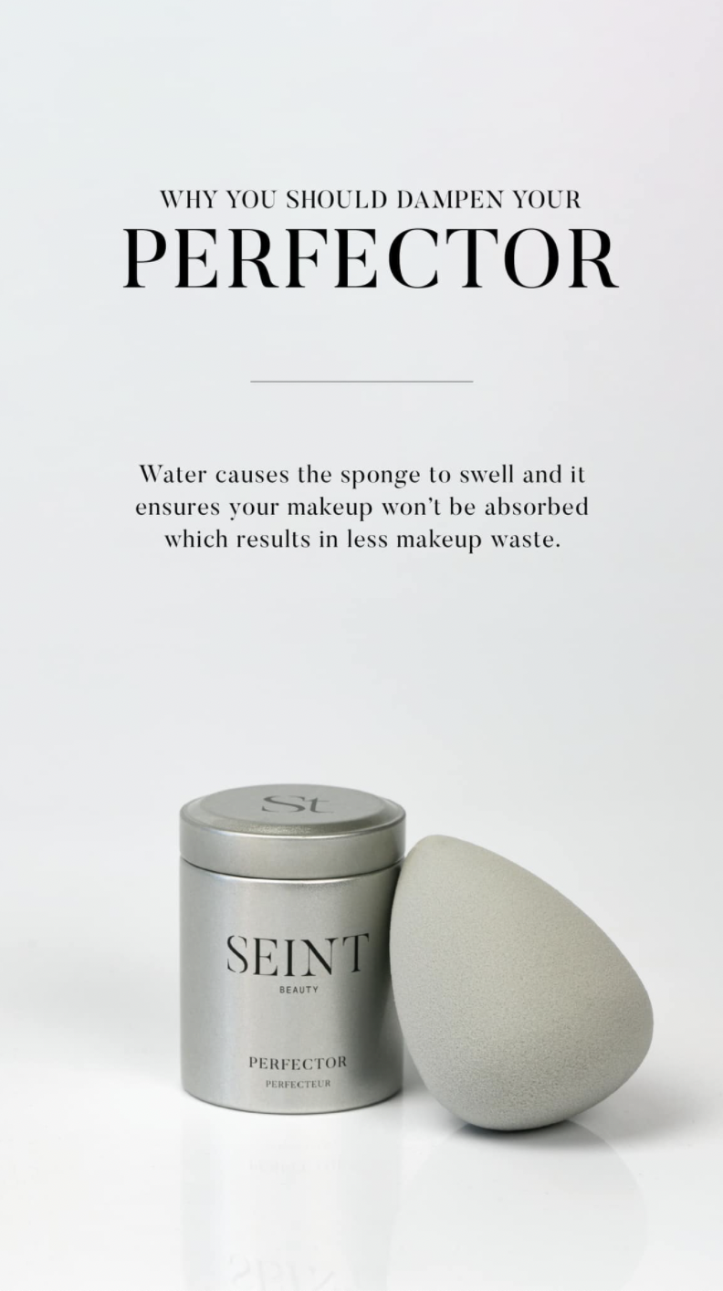 Seint Perfector Sponge